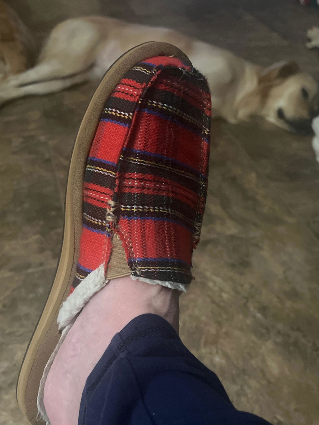 Sanuk You Got My Back St Plaid Chill mules Crimson